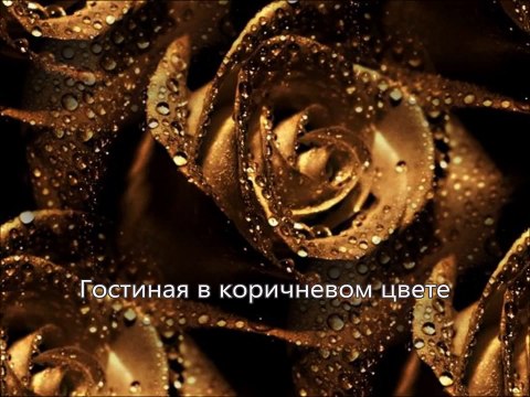 Гостиная в коричневом цвете