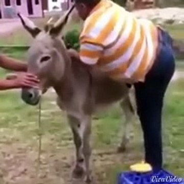 VID-20150804-WA0001.mp4