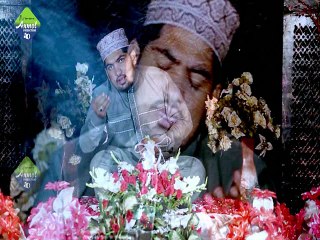 Sarkar Da Sehra By Sohail Ahmad Jaami 0345-4646046