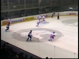 Hockey fights