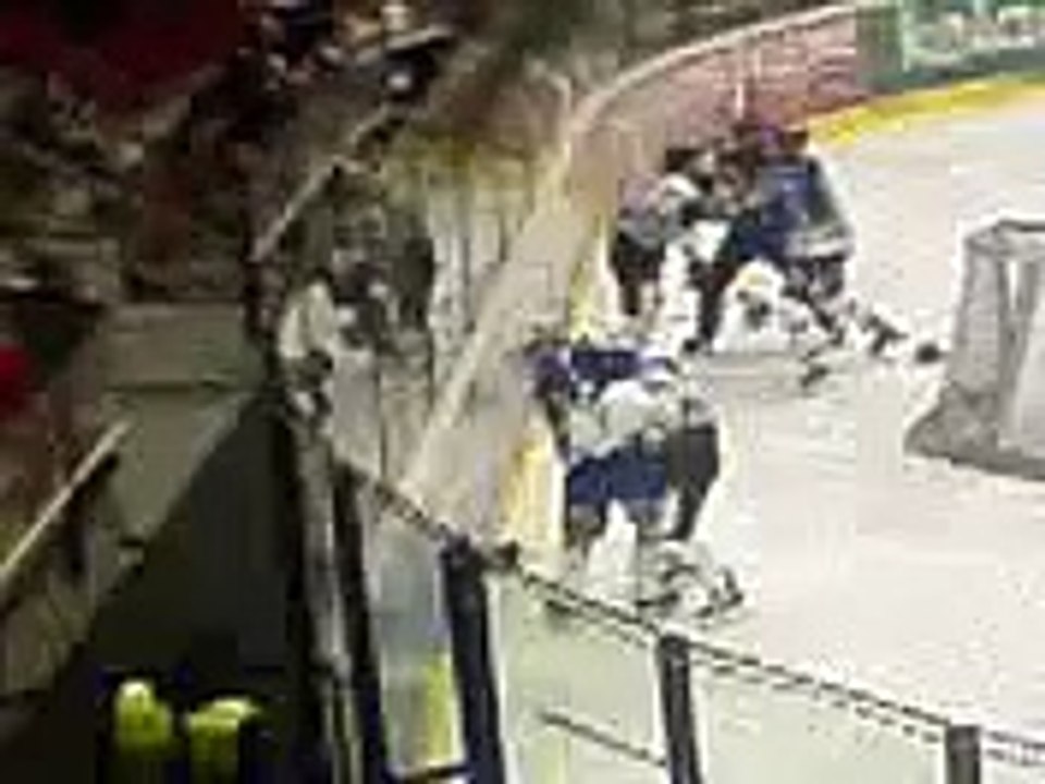 Hockey fights