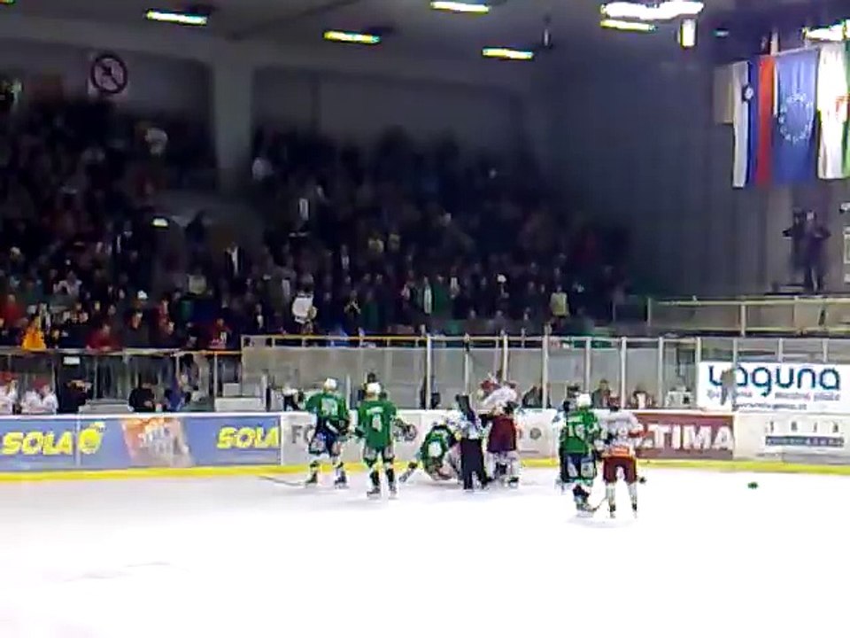 Hockey fights