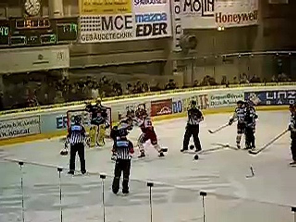 Hockey fights
