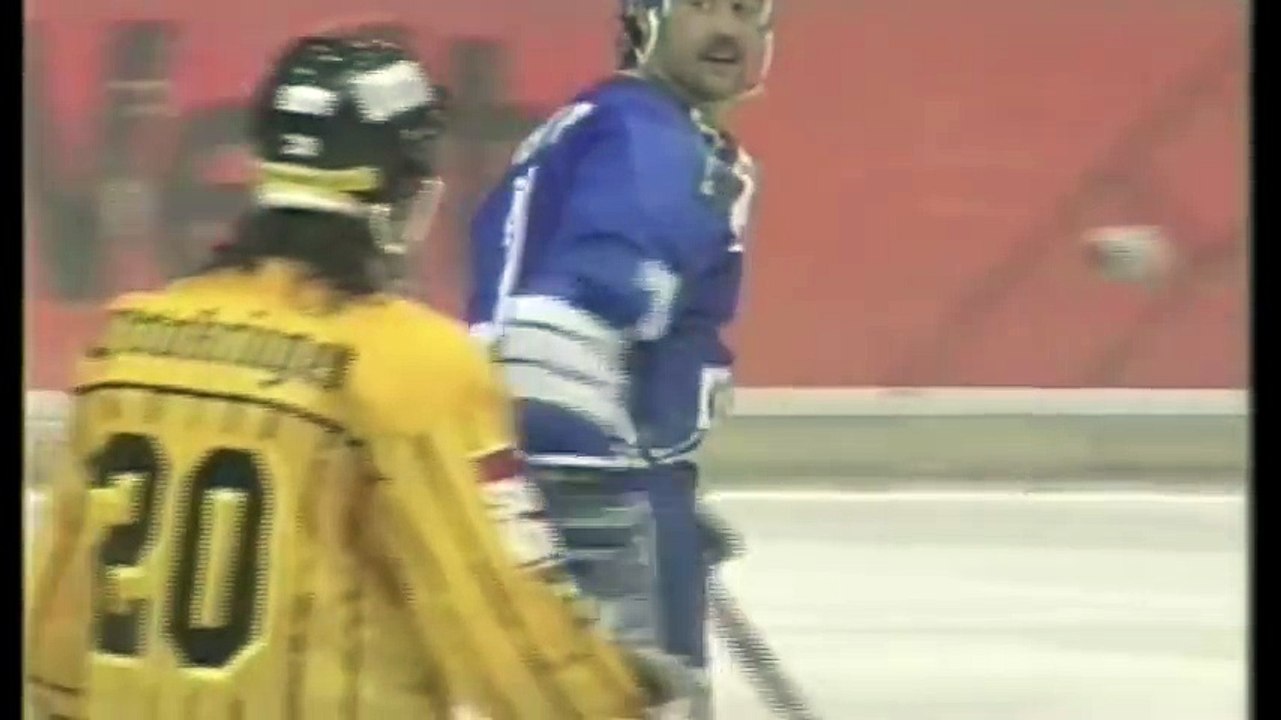 Hockey fights