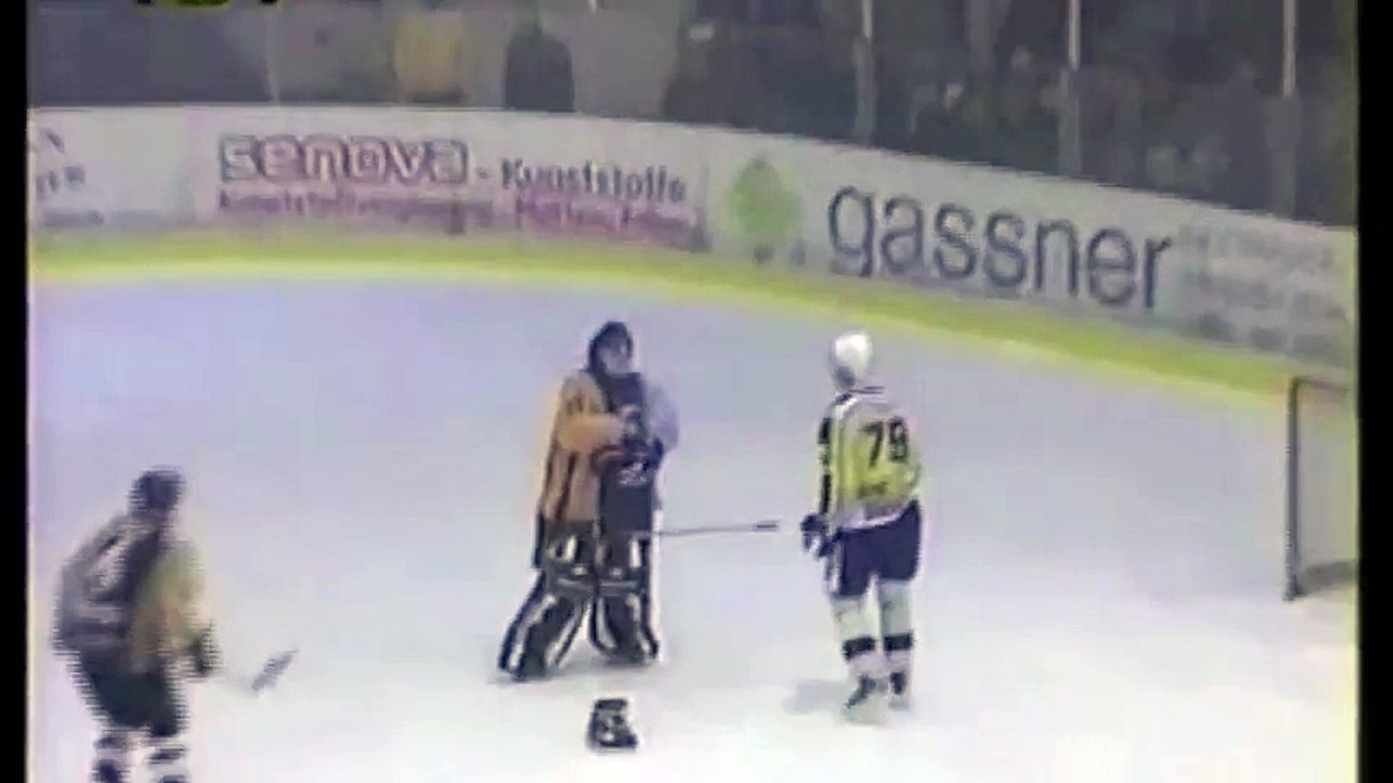 Hockey fights