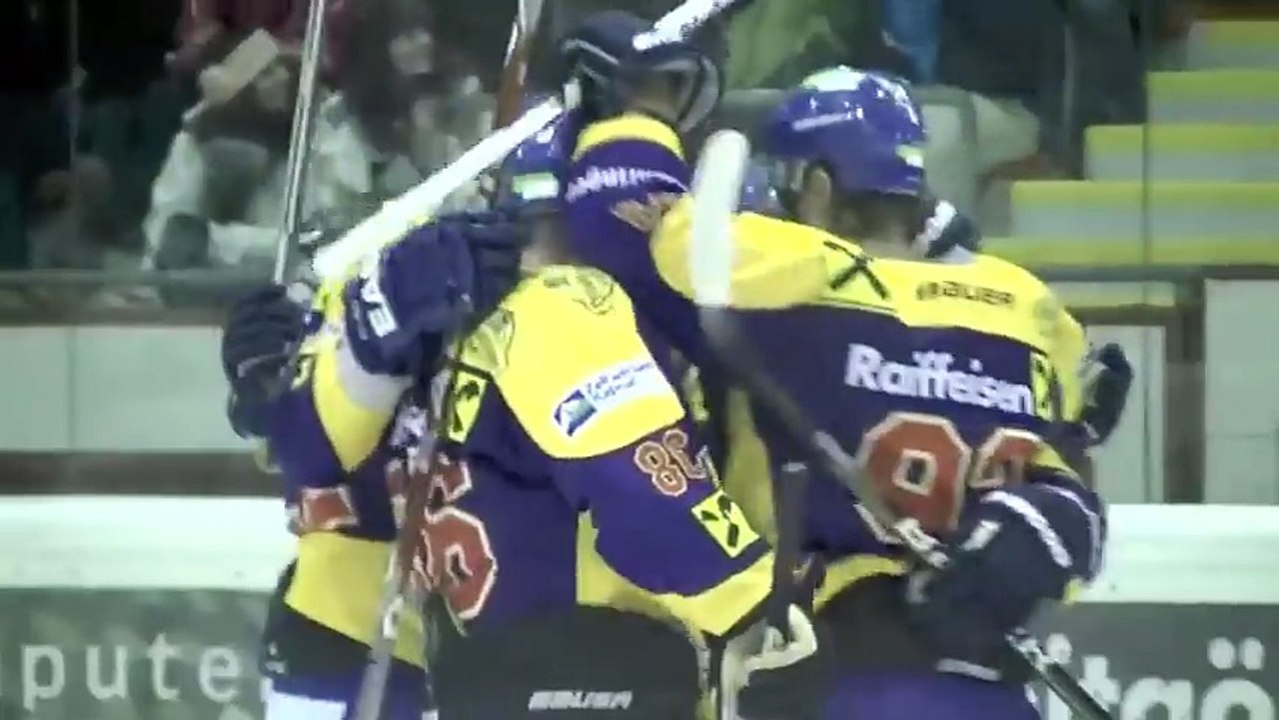 Hockey fights
