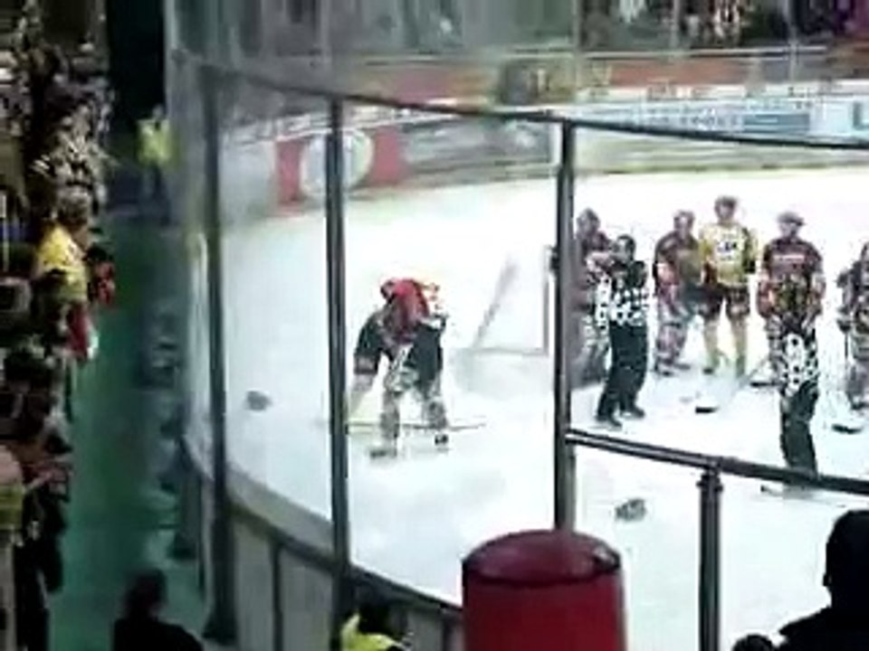 Hockey fights