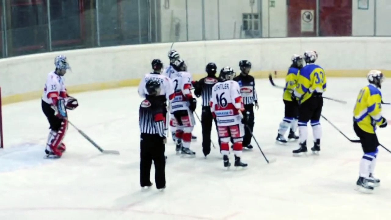 Hockey fights
