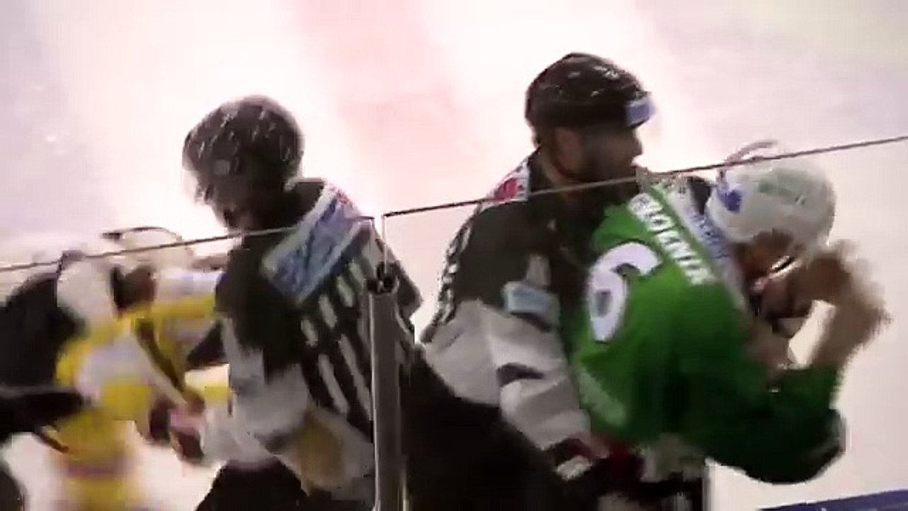 Hockey fights