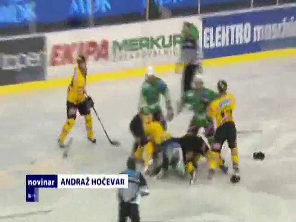 Hockey fights