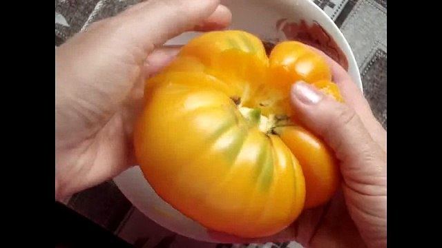 Как собрать семена помидор