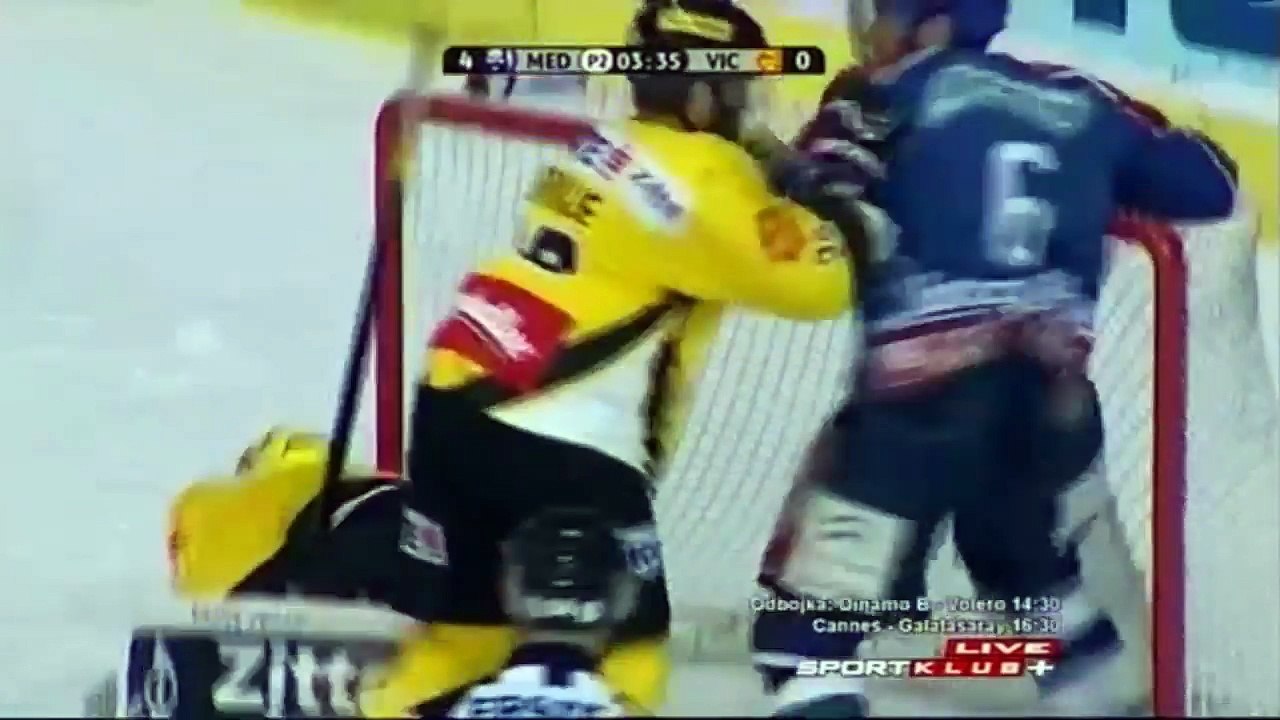 Hockey fights