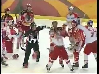 Hockey fights