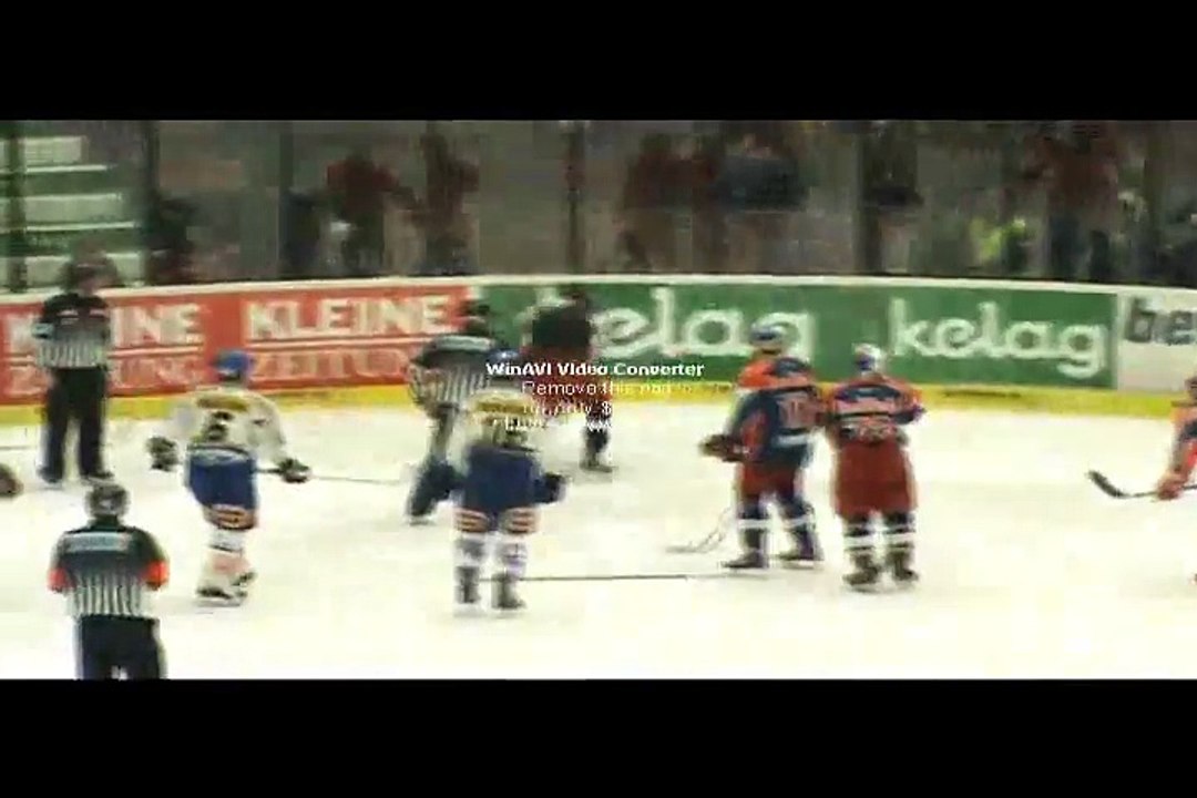 Hockey fights