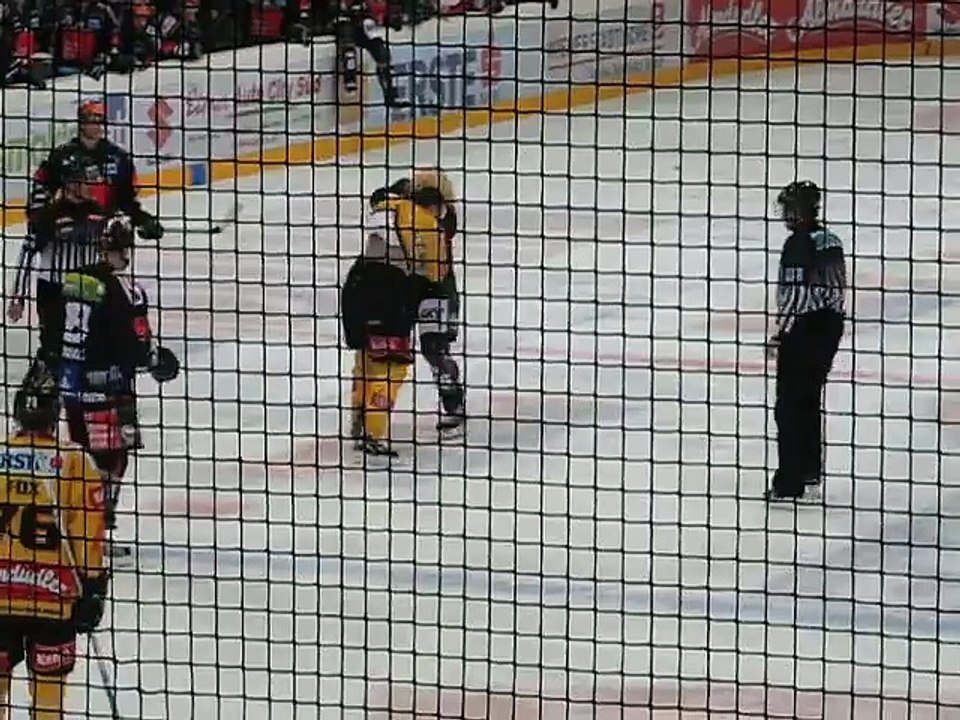 Hockey fights