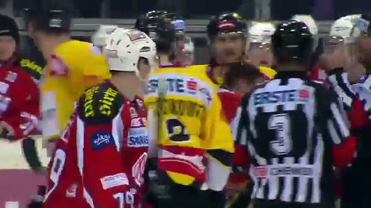 Hockey fights