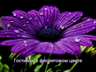 Гостиная в фиолетовом цвете