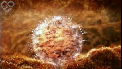 What life in the womb looks like for a fetus in the Uterus