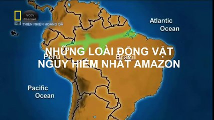 Động Vật nguy hiểm nhất Amazon