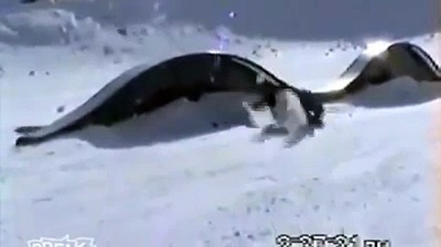 Compilation of fails on the snow Winter fails Funny Videos 2015