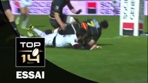 TOP 14 - La Rochelle - Toulouse : 28 - 8 Essai Romana GRAHAM (LAR) - J15 - Saison 2015/2016