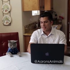 Funny Videos 2015 - When your crush is in a relationship...