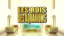 Les rois des aquariums - L'aquarium de requins