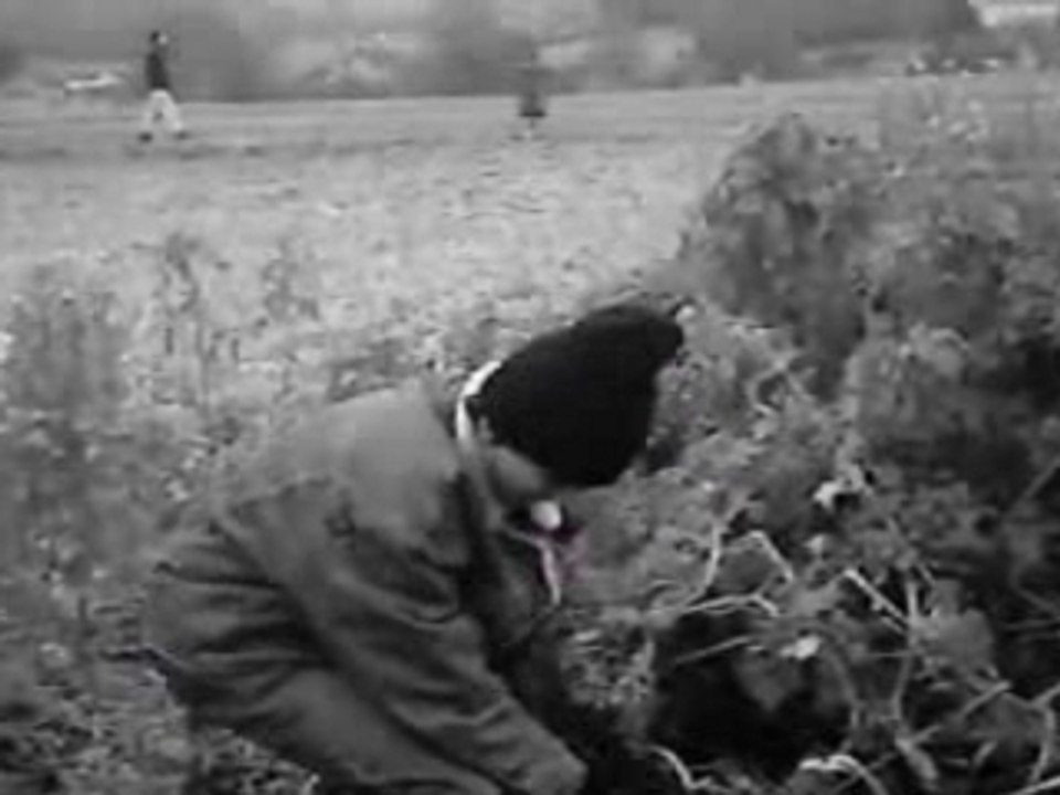 LA CHASSE AU GIBIER