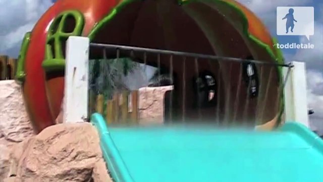 Little girl poops her pants on a water slide - Funny Accidents - toddletale