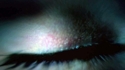 Game of Thrones Season 5 The Sight Brienne and Podrick (HBO)