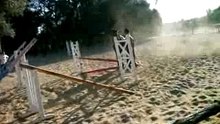 chute a cheval ahmed