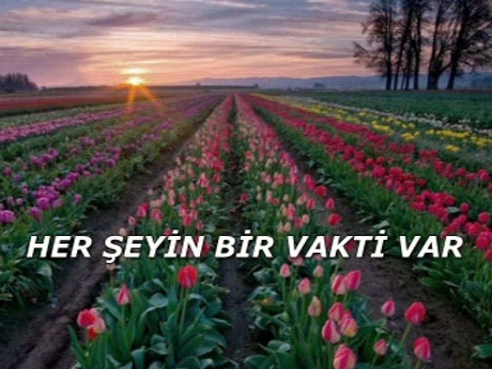 Her şeyin bir vakti vardır