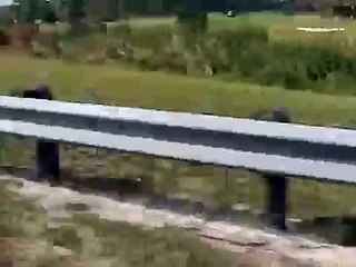 wise words from the saad