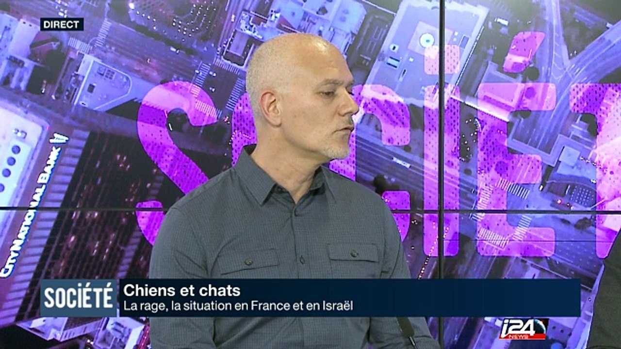 Chiens, Chats : la rage, la situation en France et en Israël