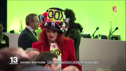 Brexit : les Britanniques opposés à l'Europe se mobilisent