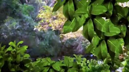 Coração Indomável Capítulo 56 11/05/15 (Dublado Completo HDTV) SEM CORTES