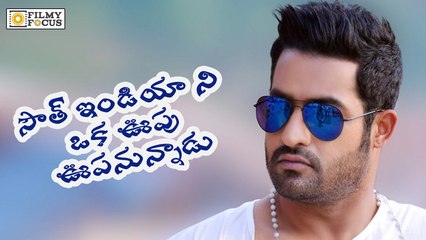Jr Ntr Ready To Shake South India || Filmy Focus