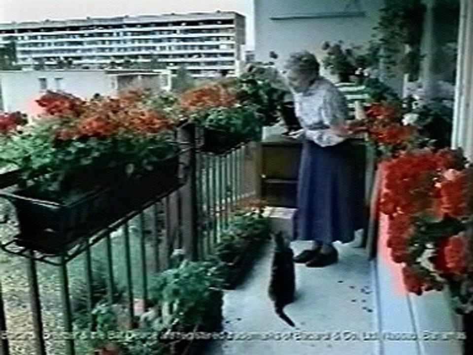 funny commercial bacardi breezer