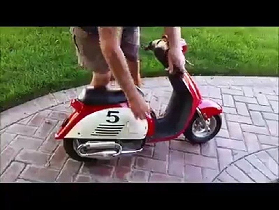 Ada yang Pengen Punya Vespa Mini Kayak Gini Nggak?