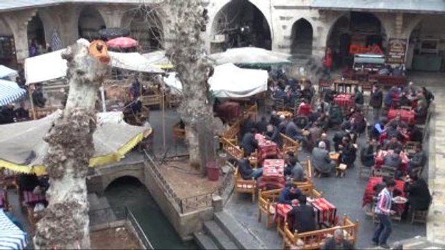 Şanlıurfa'da Tarihi Handa Ağaçların Kesilmesine Tepki