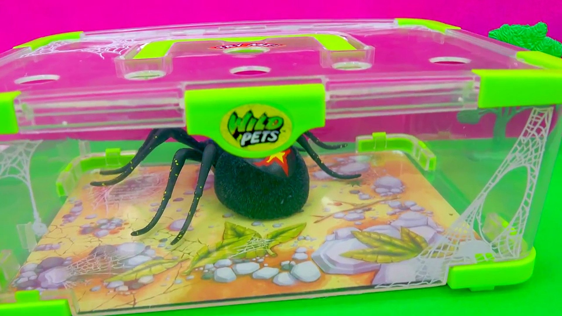 ⁣Shopkins Visit Interactive Attack Wild Pets Exclusive Spider In Cage Habitat at Zoo - Cook