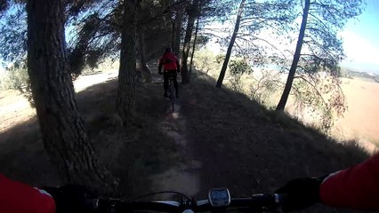 Llanos de Silva( By Hora Zulú )