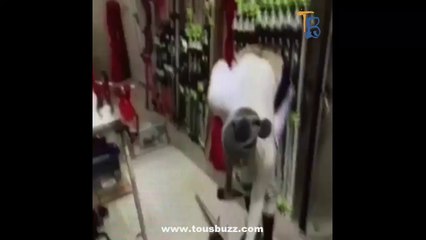 Lindsey Vonn casse ses skis, fait le buzz puis s'excuse