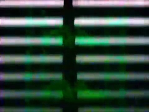 Início e fim do VHS Disney O Rei Leão