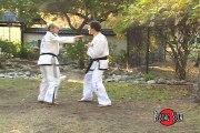 Grand Master Jong Soo Park - Mastering Taekwondo Black Belt Sparring