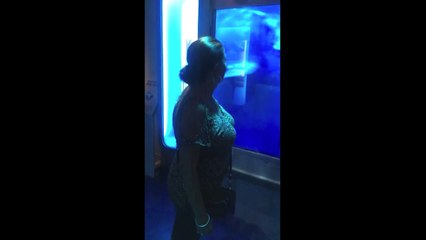 Crazy Shark attack a woman in an aquarium... Best prank ever!