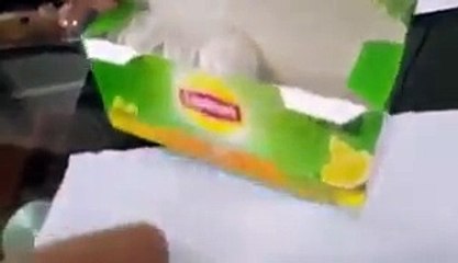 What is inside Lipton tea bag?  you will not use after watching this shocking video