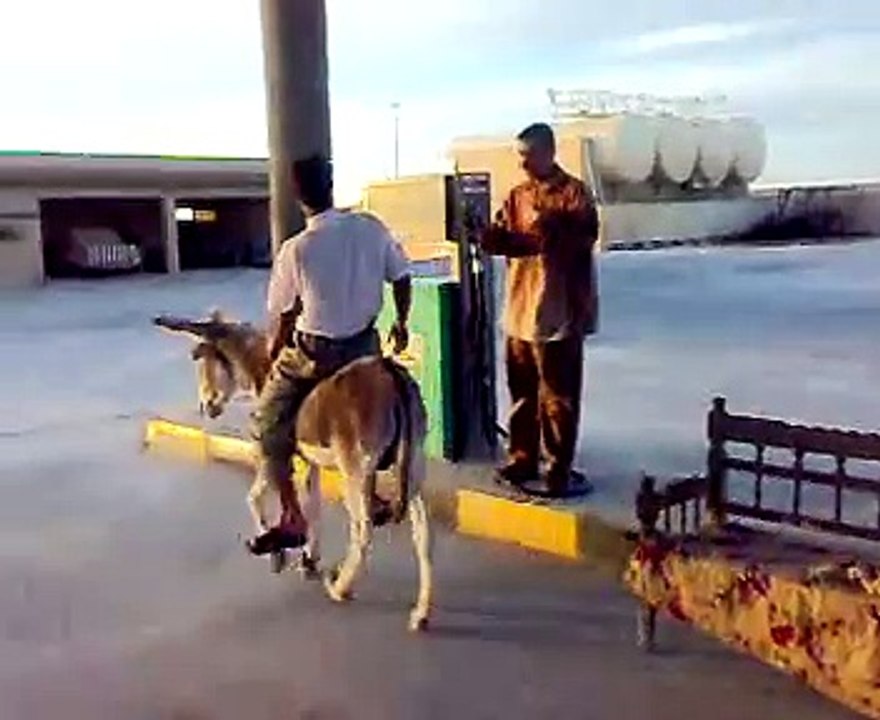 funny video (65)