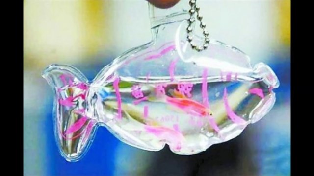 Жестокая мода в Китае, продают живые брелоки