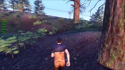 H1Z1 gameplay 1